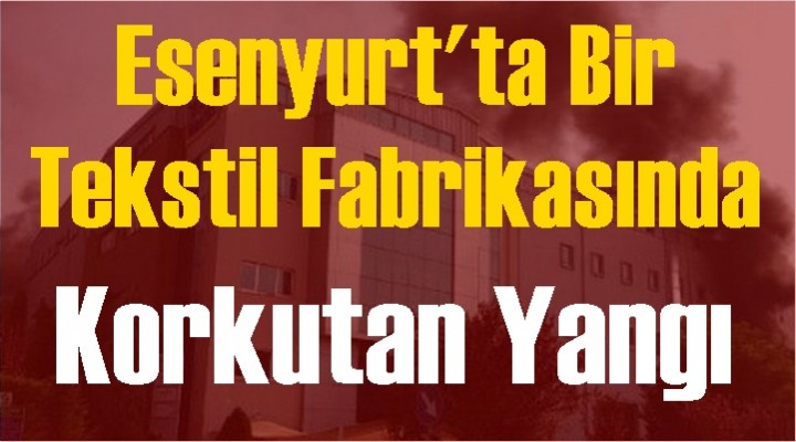 Esenyurt'ta korkutan yangın