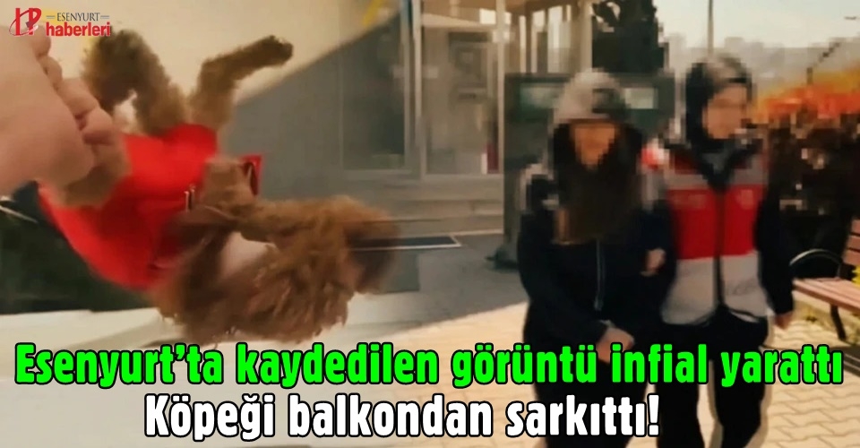 Esenyurt’ta kaydedilen görüntü infial yarattı: Köpeği balkondan sarkıttı!