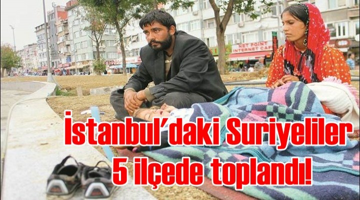 İstanbul'daki Suriyeliler 5 ilçede toplandı!