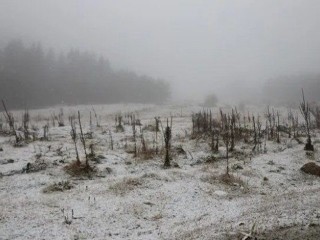 Bolu’ya mevsimin ilk karı düştü