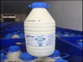 Esenyurt Belediyesi 60 Bin Aileye Süt Dağıtacak