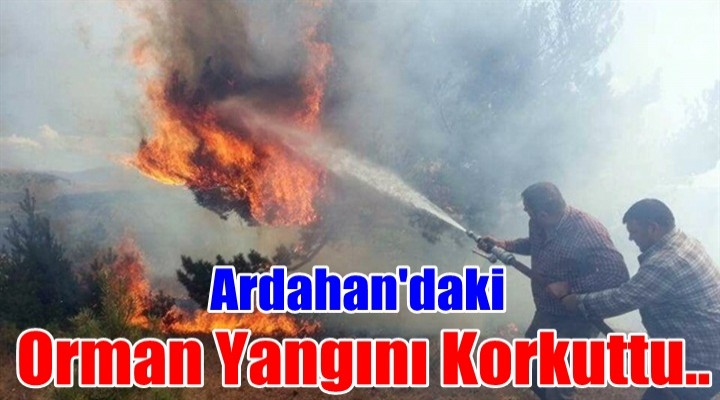 Ardahan'daki orman yangını korkuttu