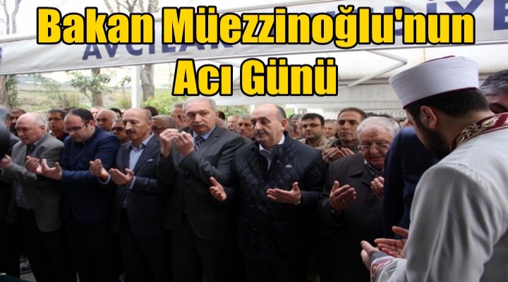 Mehmet Müezzinoğlu'nun Acı Günü