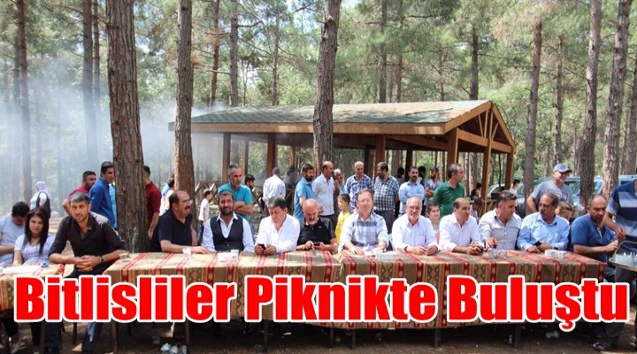 Bitlisliler Piknikte Buluştu