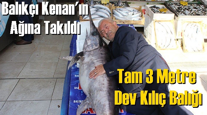 Dev Kılıç Balığı Balıkçı Kenan'ın ağına takıldı