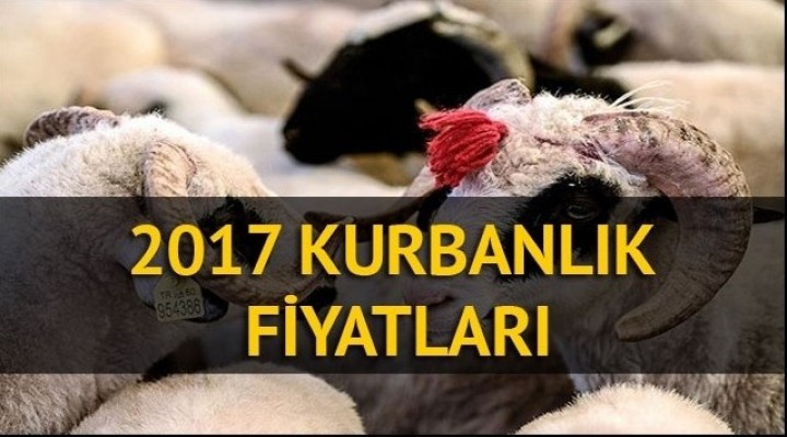 İşte 2017 Kurban fiyatları