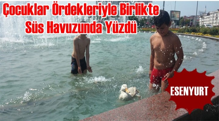 Çocuklar Ördekleriyle Birlikte Süs Havuzunda Yüzdü