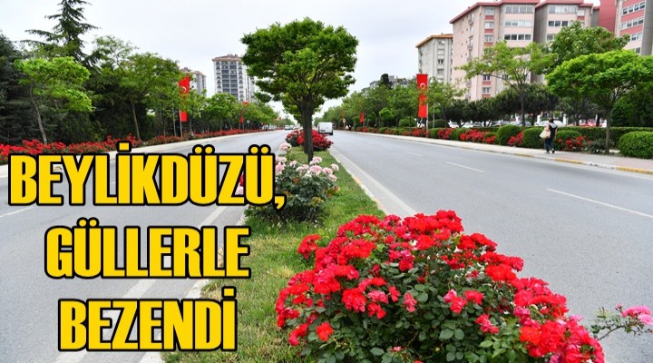 Beylikdüzü Güllerle Bezendi