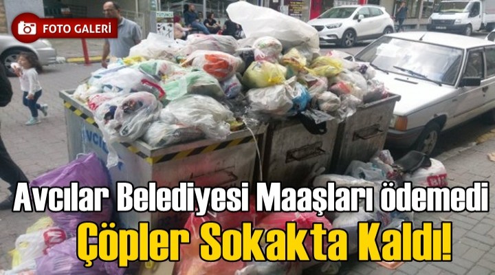 Avcılar Belediyesi Maaşları ödemedi, çöpler sokakta kaldı