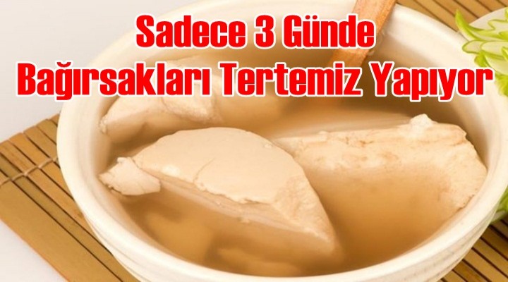 Bağırsakları Tertemiz Yapıyor