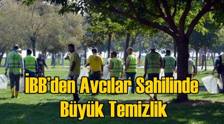 İBB’den Avcılar sahilinde büyük temizlik