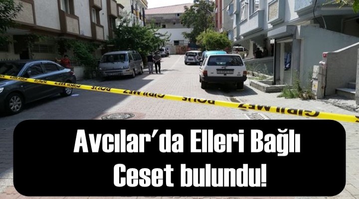 Avcılar'da elleri bağlı ceset bulundu