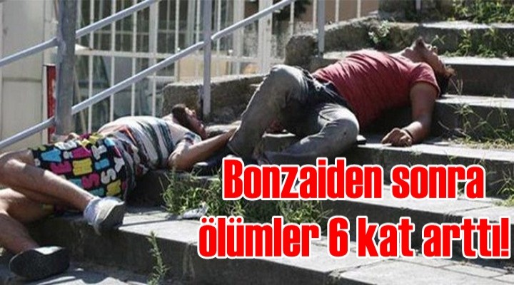 Bonzaiden sonra ölümler 6 kat arttı