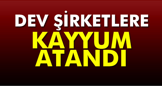 Dumankaya şirketlerine kayyum atandı