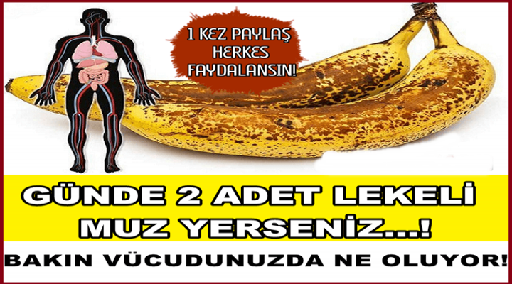 Lekeli Muz'un faydaları