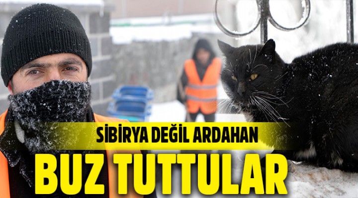 Ardahan Donuyor!