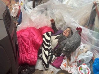 ‘Horozlu Teyze'nin çöp evine icra memurları geldi!