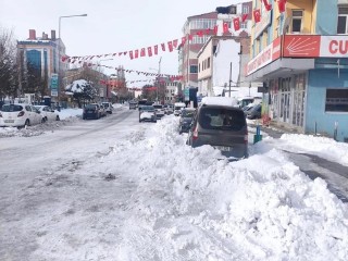 Meclis Üyesi Avşar, Faruk Demir'e Şhow'u bırak karları temizle!