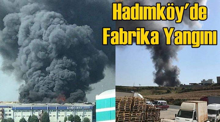 Hadımköy'de fabrika yangını