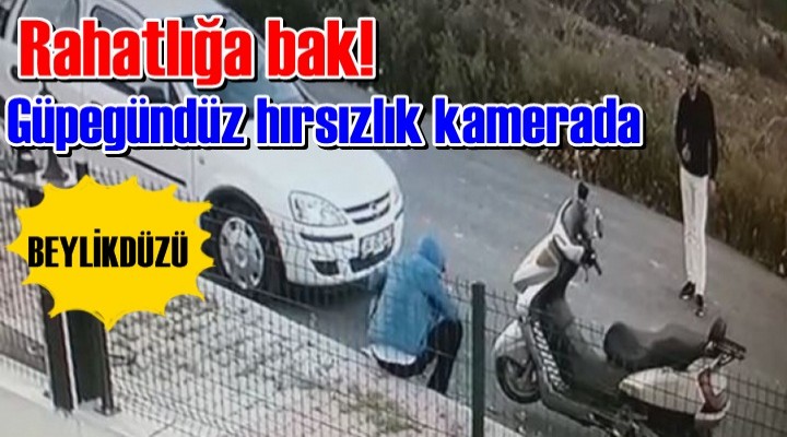 Rahatlığa bak! Güpegündüz hırsızlık kamerada