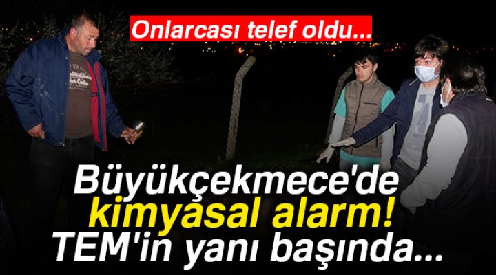 Büyükçekmece'de kimyasal alarmı!