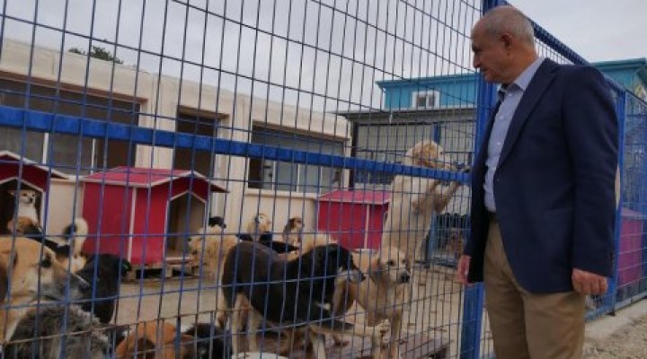 Başkan Akgün, dur durak bilmiyor